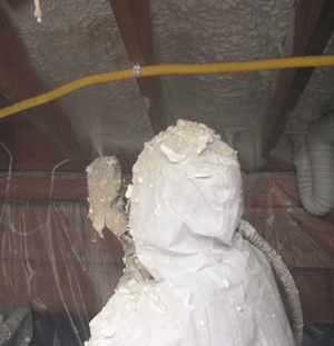 Sunnyvale CA crawl space insulation